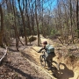 lorena